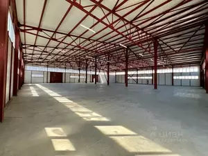 Фото к объявлению #22198286