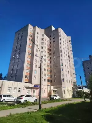 Фото к объявлению #20498442
