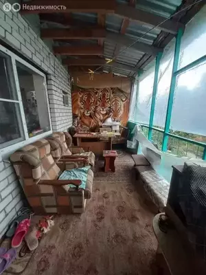 Фото к объявлению #21209819