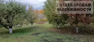 Фото к объявлению #21615916