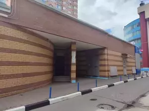 Фото к объявлению #22117668