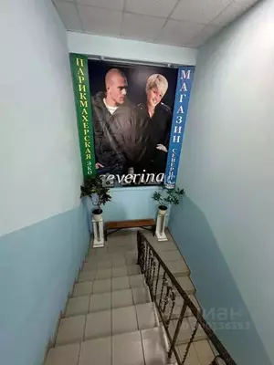 Фото к объявлению #20158139