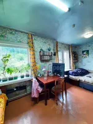 Фото к объявлению #22215316