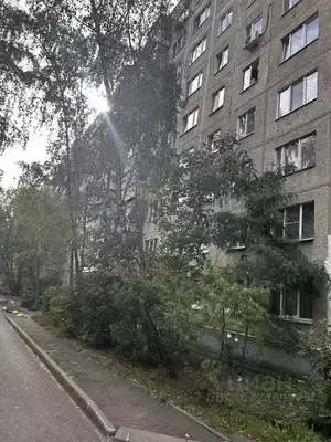 Фото к объявлению #21034026