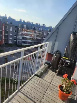 Фото к объявлению #20765452