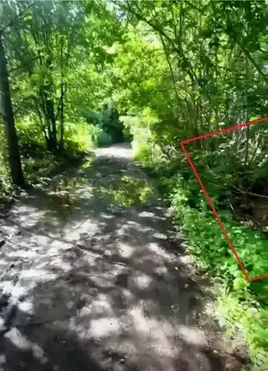 Фото к объявлению #22147695