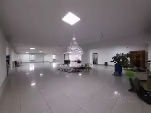 Фото к объявлению #22241606