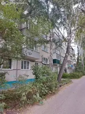 Фото к объявлению #21092056
