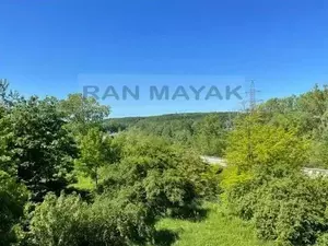 Фото к объявлению #22192015