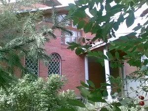 Фото к объявлению #22255796