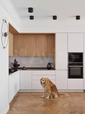 Фото к объявлению #19984291