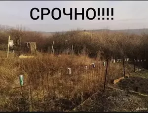 Фото к объявлению #21536070