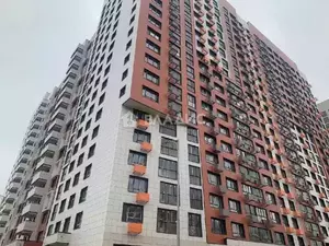 Фото к объявлению #20049198