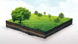 Фото к объявлению #22121472