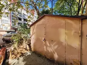 Фото к объявлению #21308966