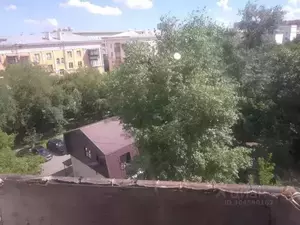 Фото к объявлению #20520353
