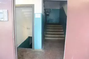 Фото к объявлению #22284005