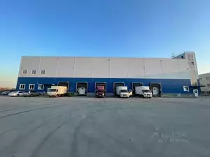 Фото к объявлению #22218375