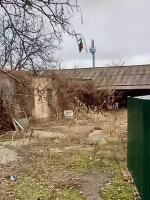 Фото к объявлению #22191667