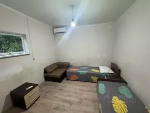 Фото к объявлению #22204795