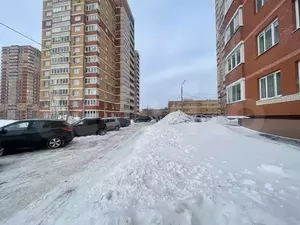 Фото к объявлению #21257758