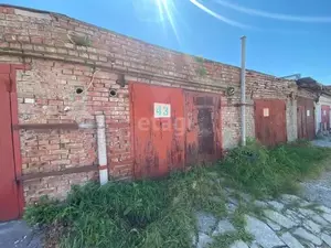 Фото к объявлению #22280122