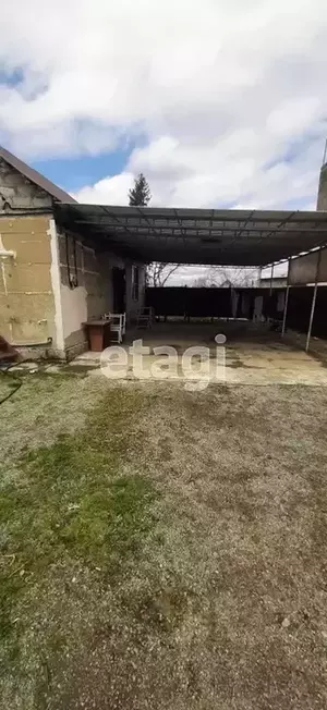 Фото к объявлению #21308198