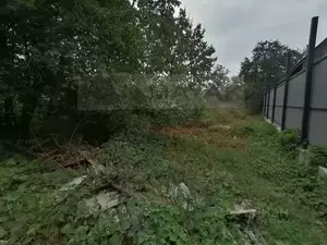 Фото к объявлению #22193153