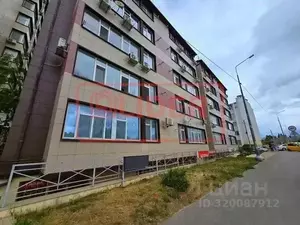 Фото к объявлению #22101145