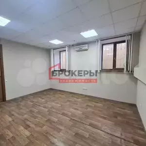 Фото к объявлению #20870328