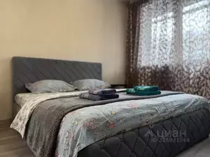 Фото к объявлению #22266751