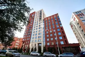 Фото к объявлению #22159308