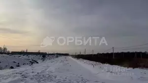 Фото к объявлению #22261927