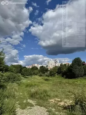 Фото к объявлению #22280275