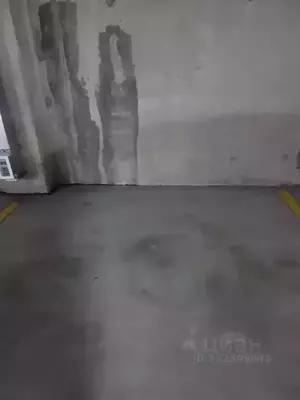 Фото к объявлению #22214639