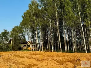 Фото к объявлению #22213531