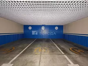 Фото к объявлению #22133908