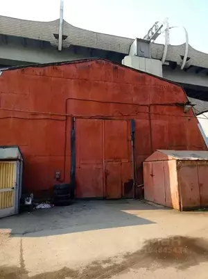 Фото к объявлению #22209865