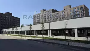 Фото к объявлению #22162034