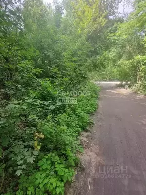 Фото к объявлению #22264630