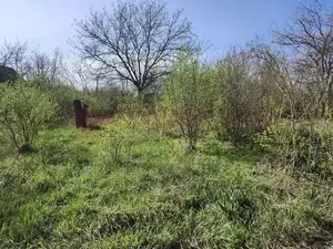 Фото к объявлению #22195480