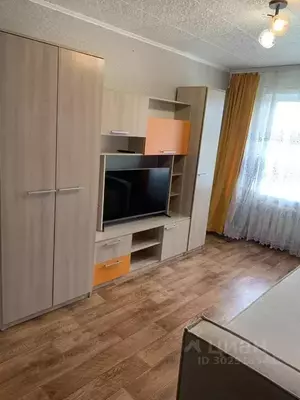 Фото к объявлению #20479257