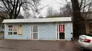 Фото к объявлению #22248593