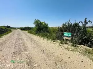 Фото к объявлению #22170830