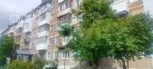 Фото к объявлению #20389799