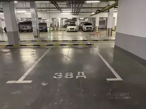 Фото к объявлению #22236426