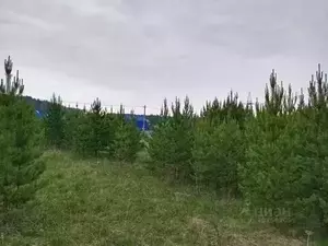 Фото к объявлению #21183509