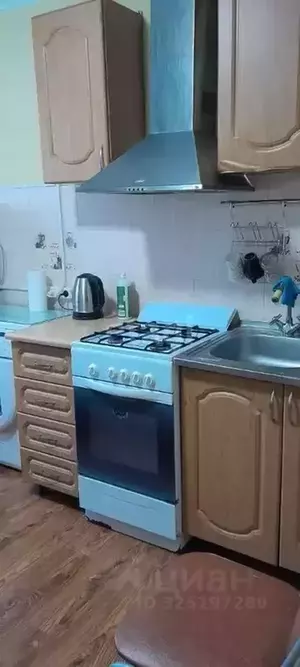 Фото к объявлению #22236504