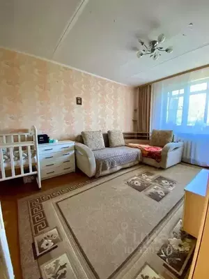 Фото к объявлению #22182130