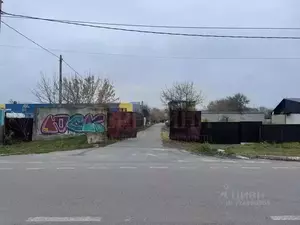 Фото к объявлению #22272747